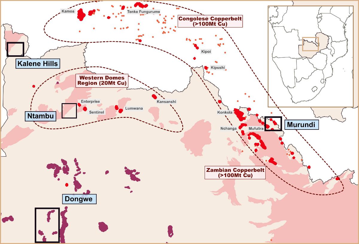 Zamare Minerals licences